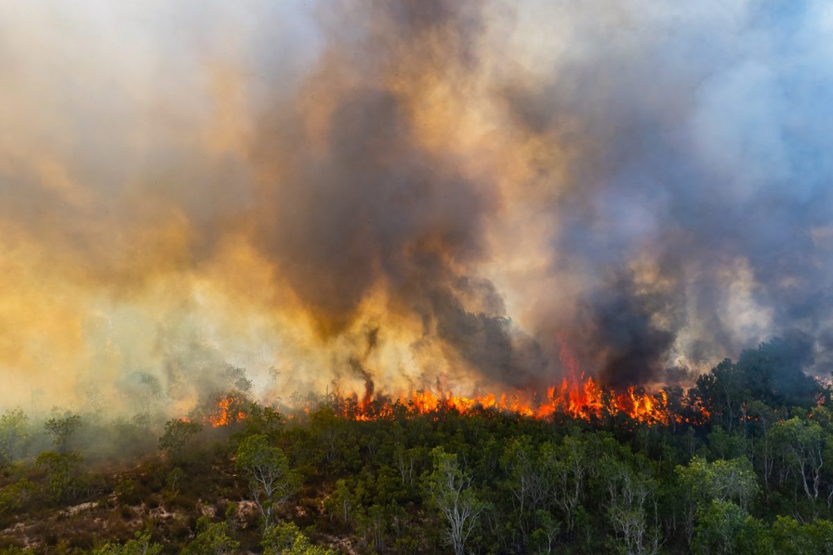 1949 óta nem volt példa erre Franciaországban, katasztrofális a helyzet