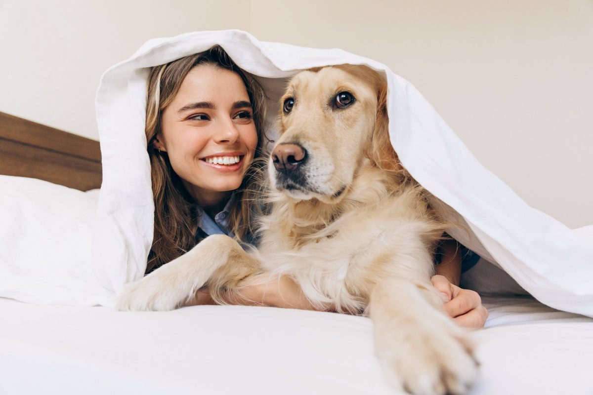 Megható pillanat – a család labradorja azonnal megvigasztalta a félénk mentett kutyát