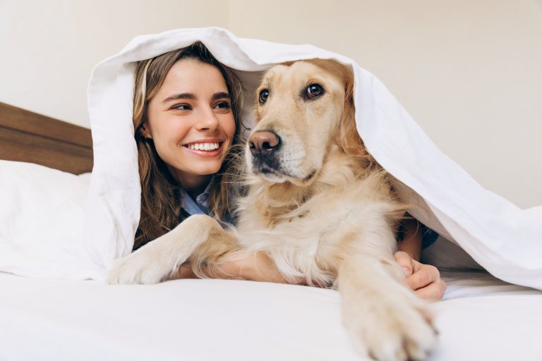 Megható pillanat – a család labradorja azonnal megvigasztalta a félénk mentett kutyát