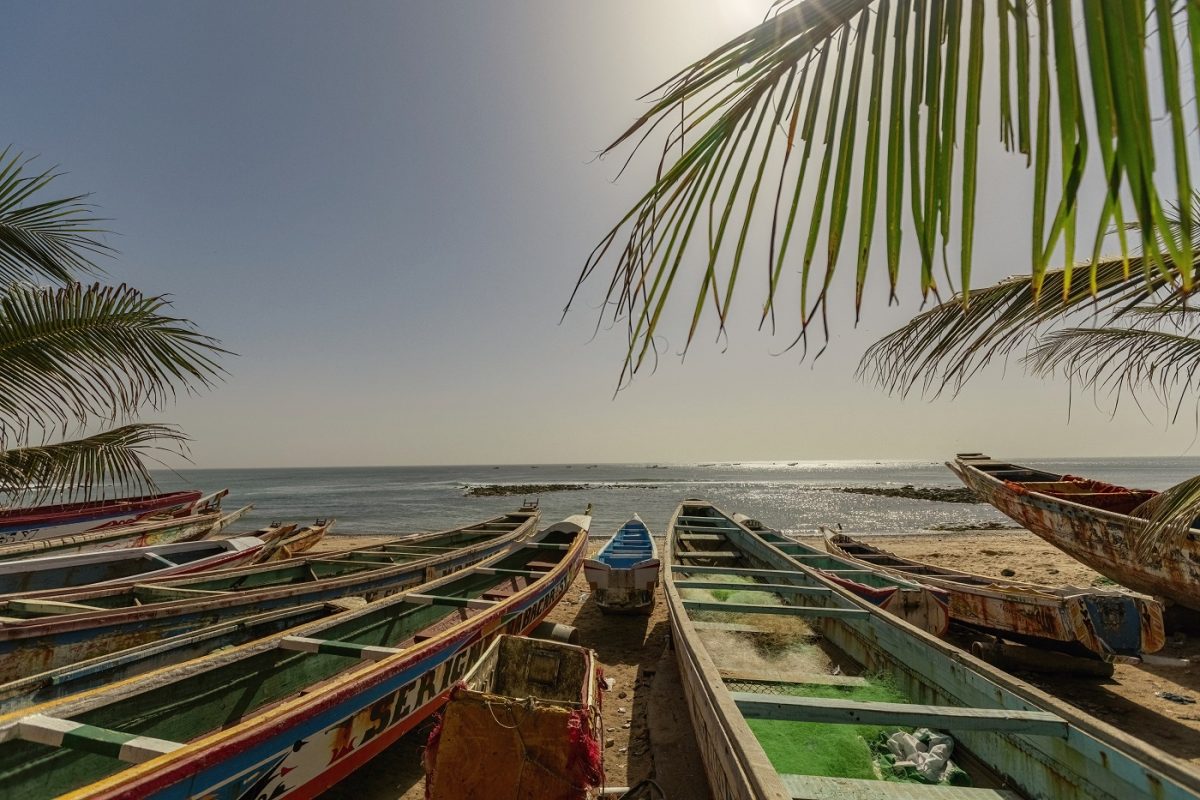 Csodájára járnak ennek a 13 éves fiúnak, 29 kilós sügért fogott, ami világrekord lehet