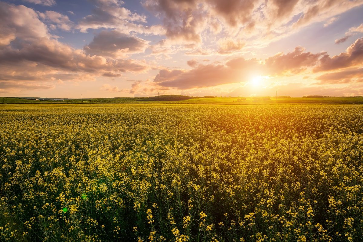 Megdőlt a történelmi melegrekord, pokoli forróság köszöntött be vasárnap
