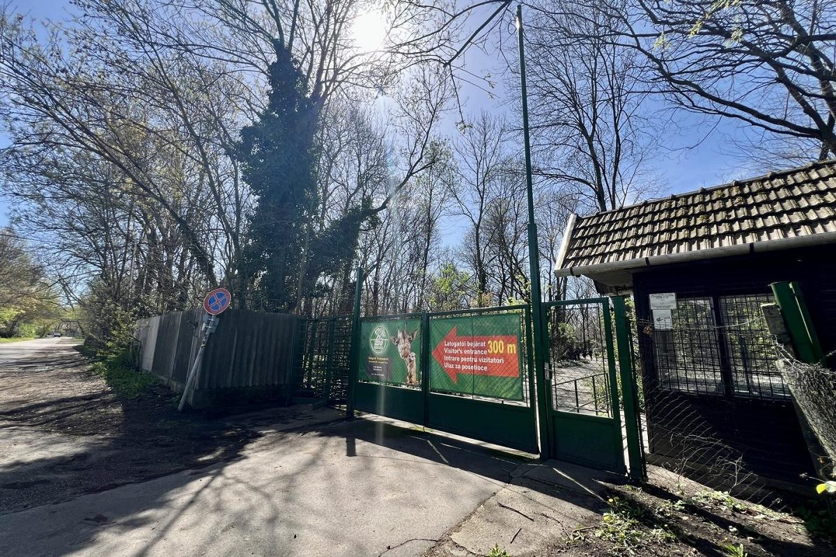 Tragédia történt a Szegedi Vadasparkban, az egész város gyászol