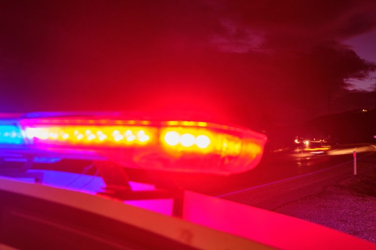 Hős kutya akadályozott meg egy robbantásos támadást – életét kockáztatva mentette a családját