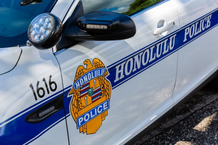 Életét vesztette egy hős rendőrkutya a gazdája miatt – azonnali vizsgálat indult