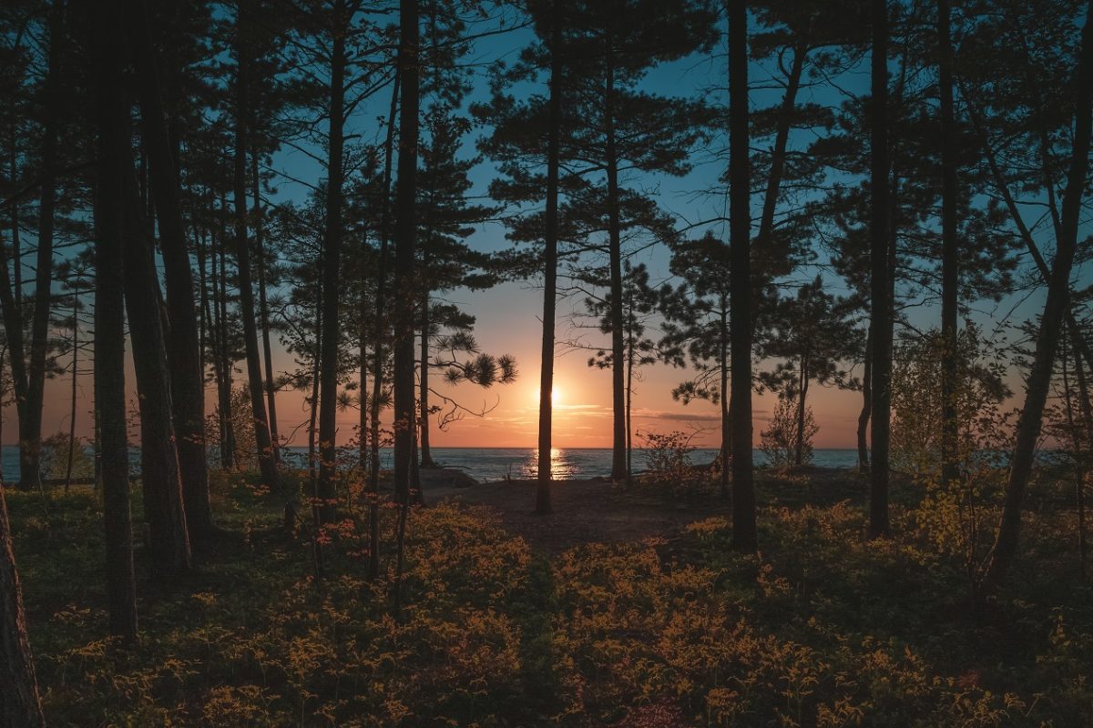 18 órás keresés után találták meg a hideg erdőben eltűnt YouTube-túlélőshow versenyzőjét