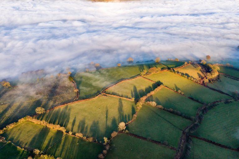 Hat év után találták meg az eltűnt férfi földi maradványait, nincs több remény