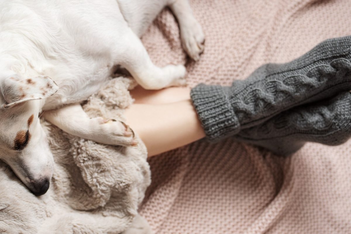 Zokniban alvás – több baktérium lehet rajta, mint a WC-ülőkén