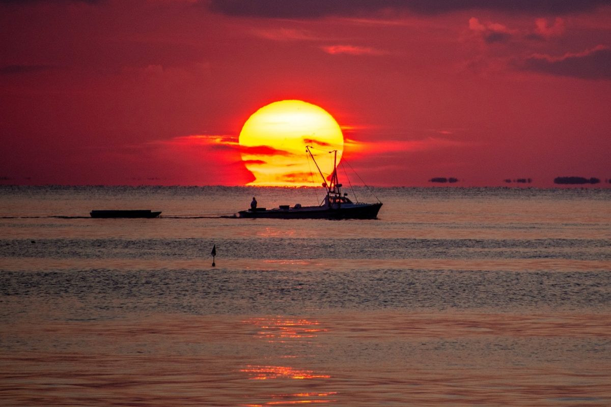 80 kilós halat fogott egy 13 éves tinédzser, világrekorder lehet