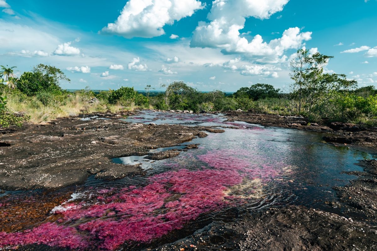 A nyaralás utolsó napján halt meg a 21 éves lány, aki építésznek készült