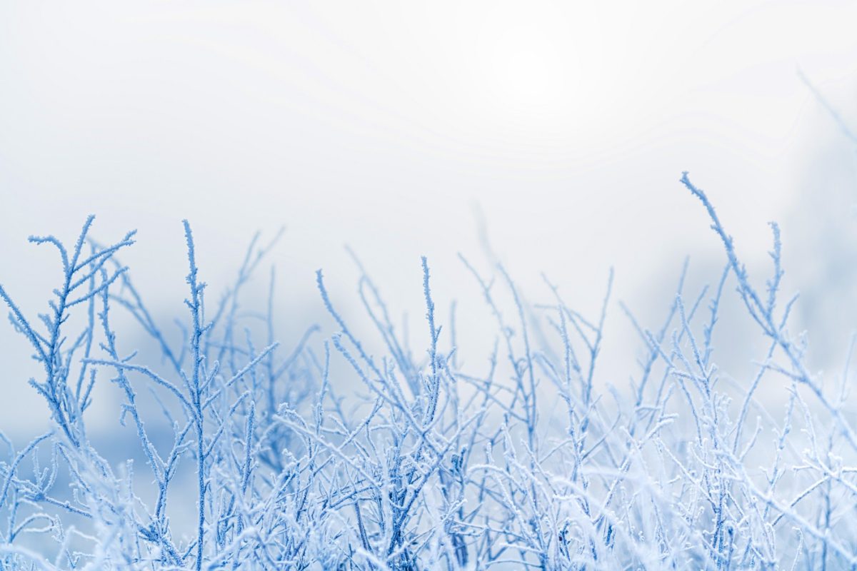 Több amerikai államban már fagyriadót fújtak