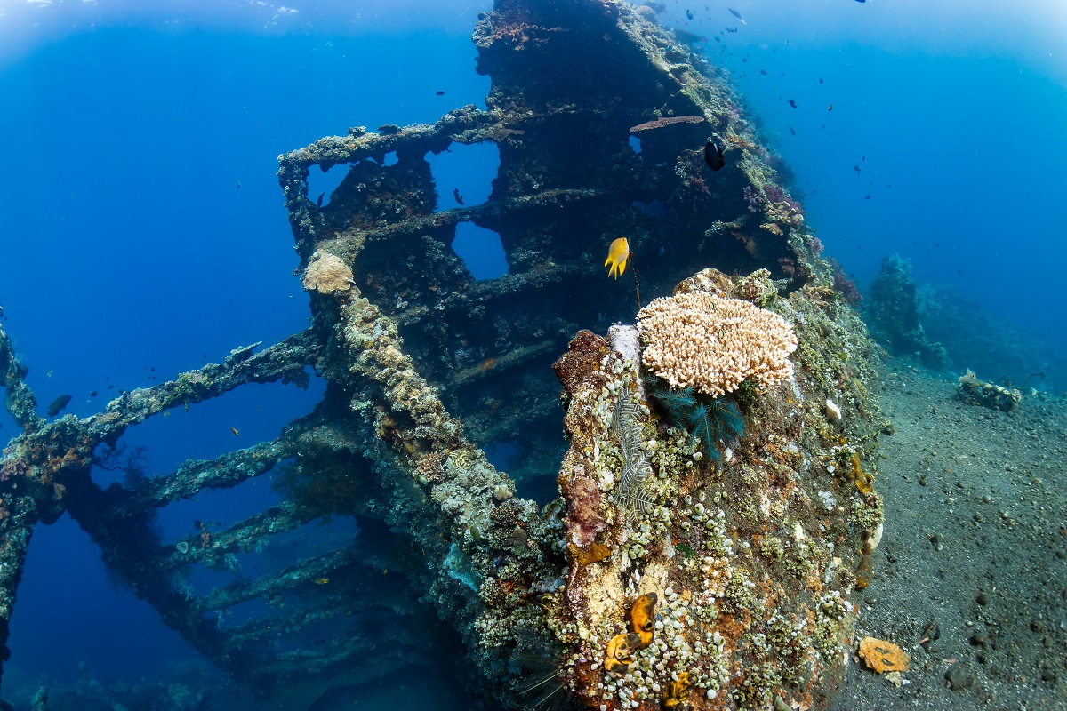 Felszínre hozzák a Titanic testvérhajójának 100 éves titkait