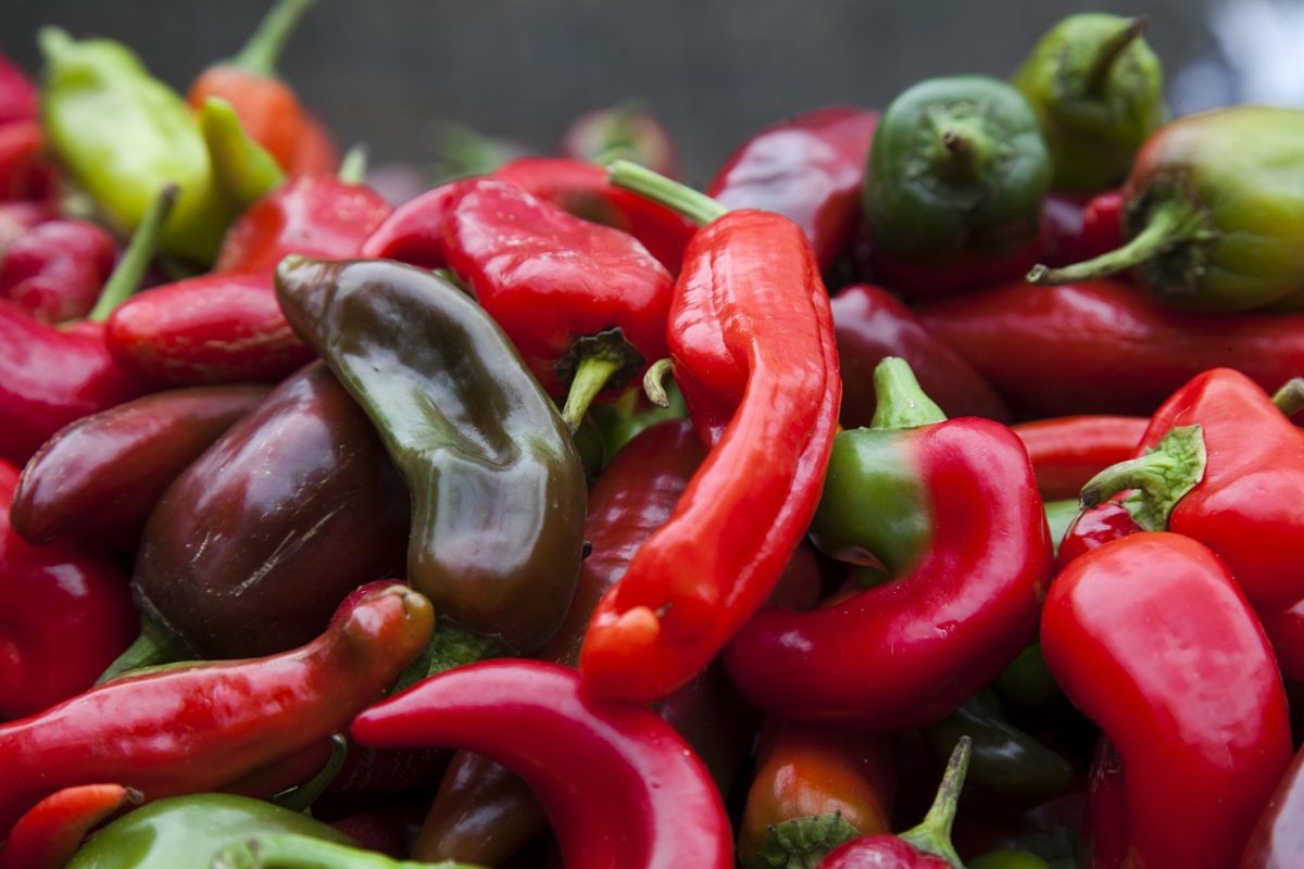 Így marad a paprika hetekig friss és ropogós – egy egyszerű konyhai trükk