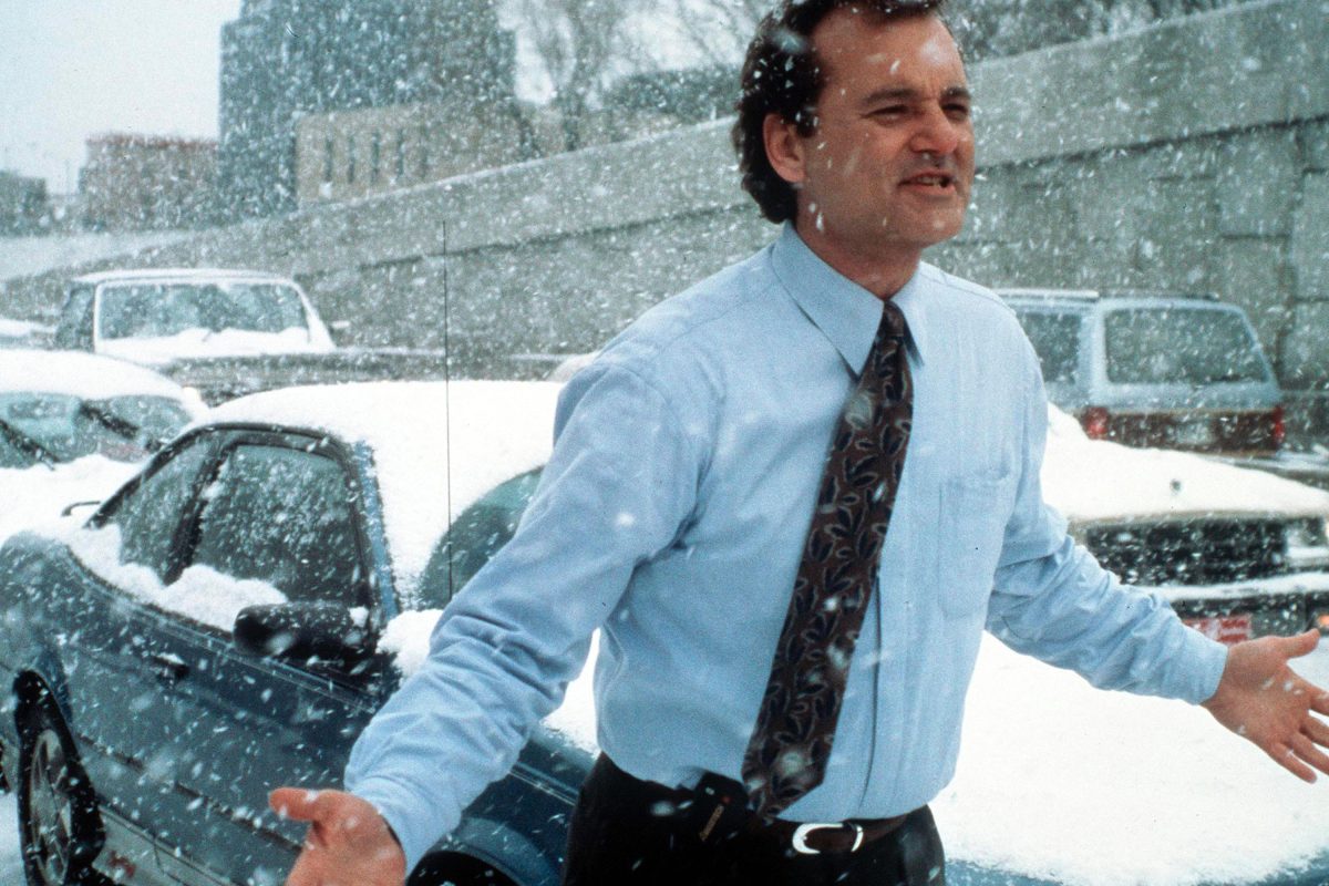 Egy tökéletes vígjáték, ami talán nem is az – Bill Murray páratlan alakítása