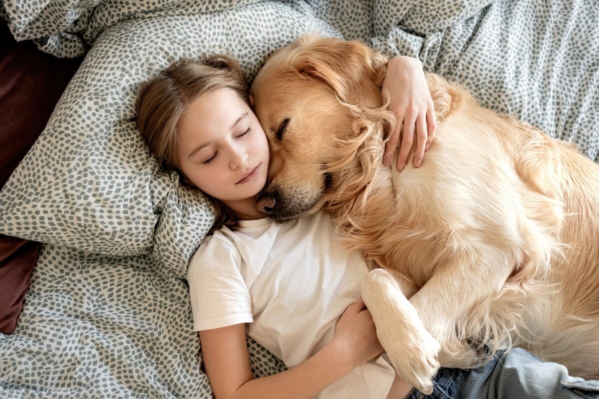 A kutyával való közös alvás előnyei és veszélyei – szakértői tanács kutyásoknak