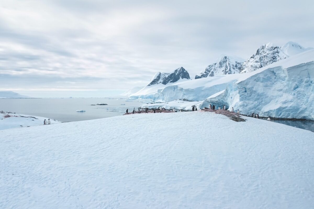 Kezd drámai lenni a helyzet az alaszkai sarki jégtakaró olvadása miatt