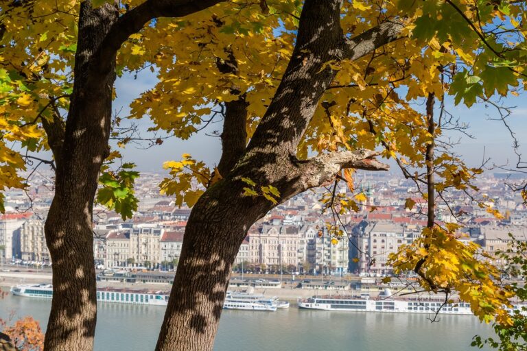 Őszi nyugalom pénteken – 12–18 fok között alakul a hőmérséklet