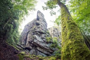 70 napot töltött egy fiatal férfi a dzsungelben, amiért több mint 5 millió forintot kapott