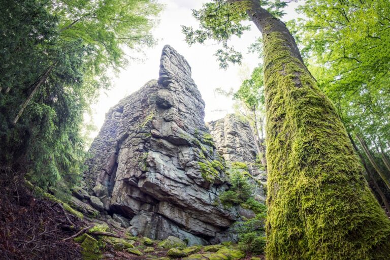 70 napot töltött egy fiatal férfi a dzsungelben, amiért több mint 5 millió forintot kapott