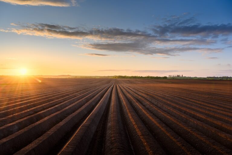 Légycsípés után halt meg egy 31 éves gazda, előtte teljesen egészséges volt