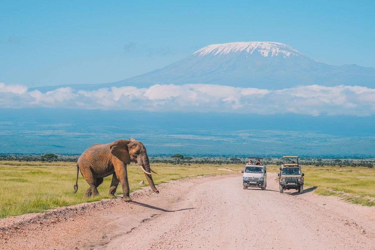 Tragikus balesetben elhunyt az ismert politikus – elefánttal ütközött az autójuk, nem élte túl