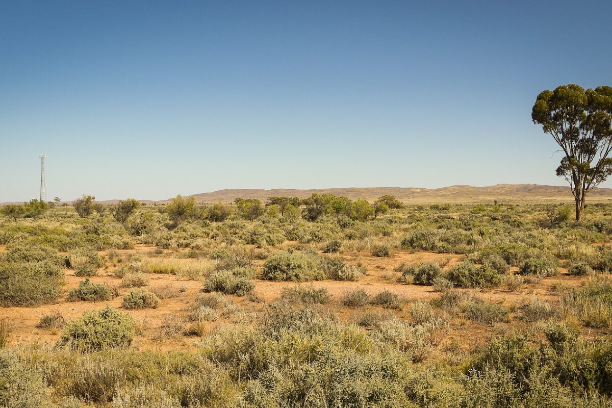 Hatodik napja keresnek egy eltűnt 4 éves kisfiút – önkéntesek százai segítik a kutatást