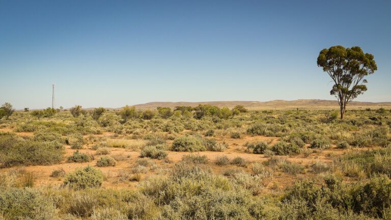 Hatodik napja keresnek egy eltűnt 4 éves kisfiút – önkéntesek százai segítik a kutatást