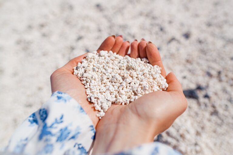 Európa legbizarrabb partja 24 fokkal csábít novemberben