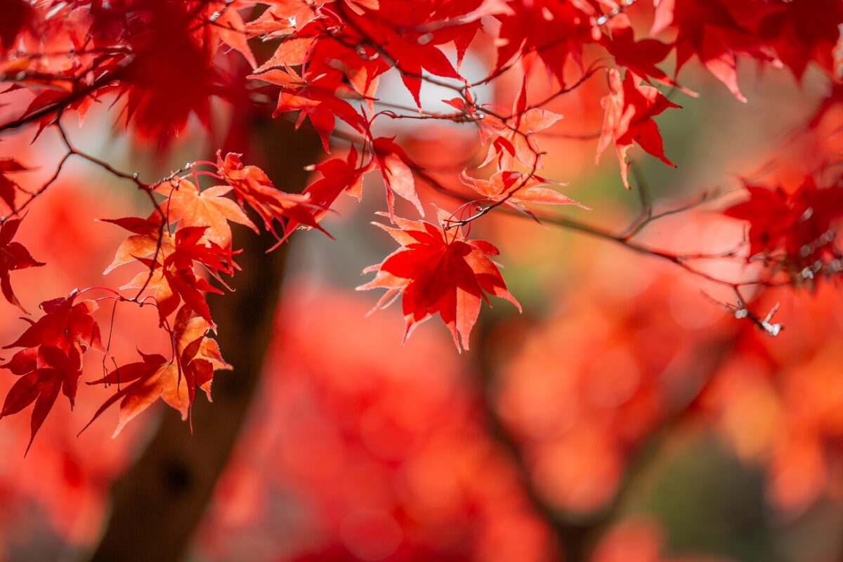 Kitisztul az idő – napsütés és mérséklődő szél várható kedden