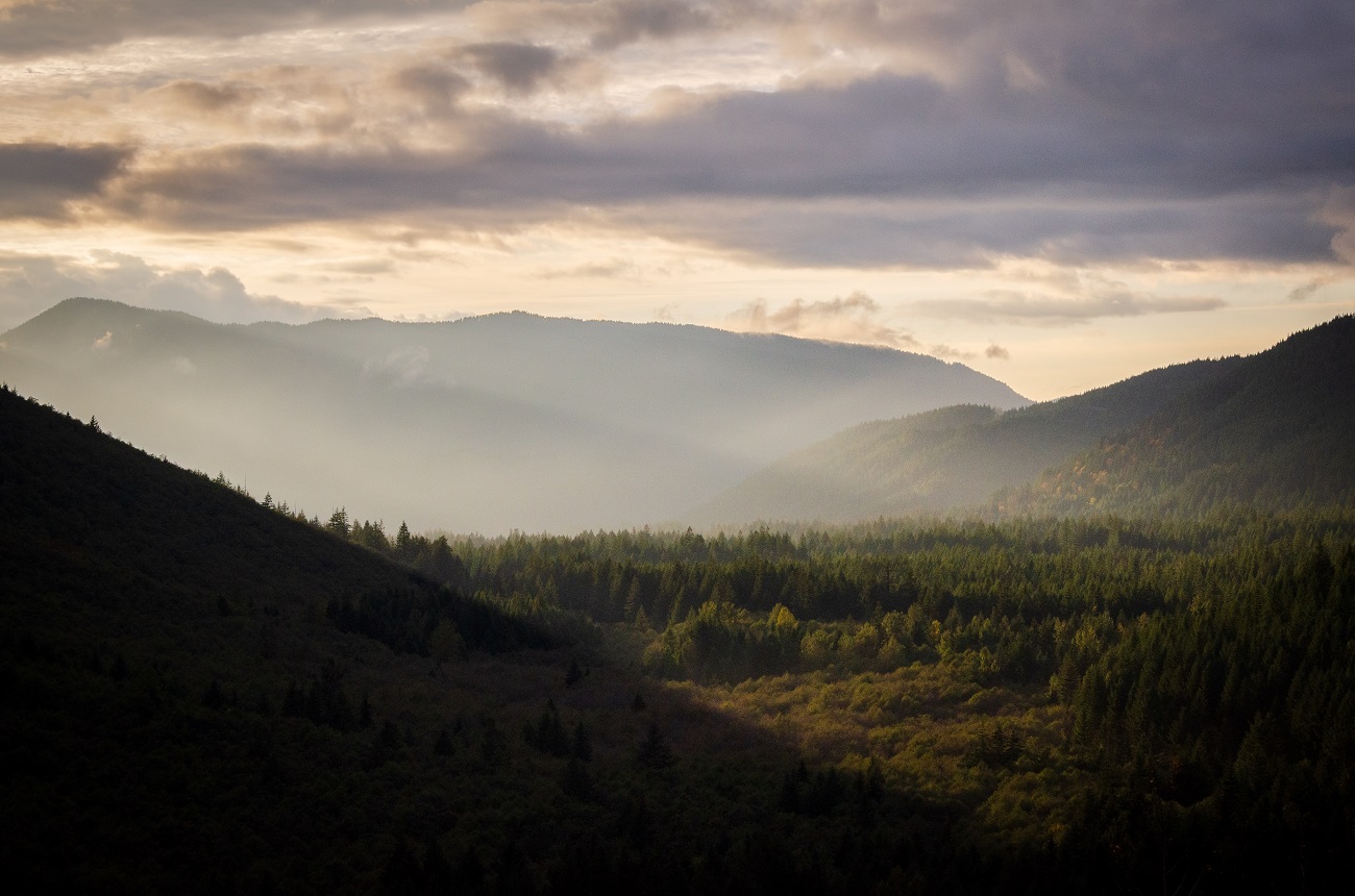 Tragikus hír érkezett a vadászaton eltűnt vadászról