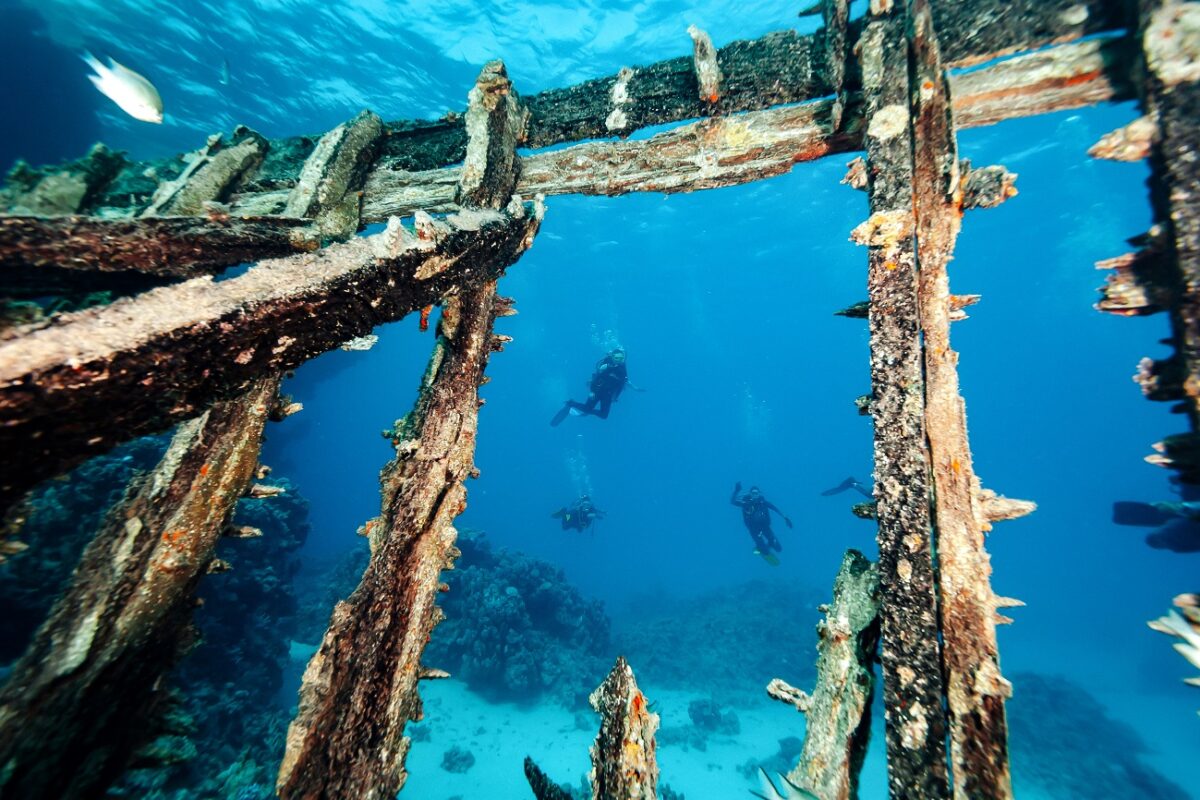 Hihetetlen, de teljes épségben találtak meg egy 19. századi hajóroncsot