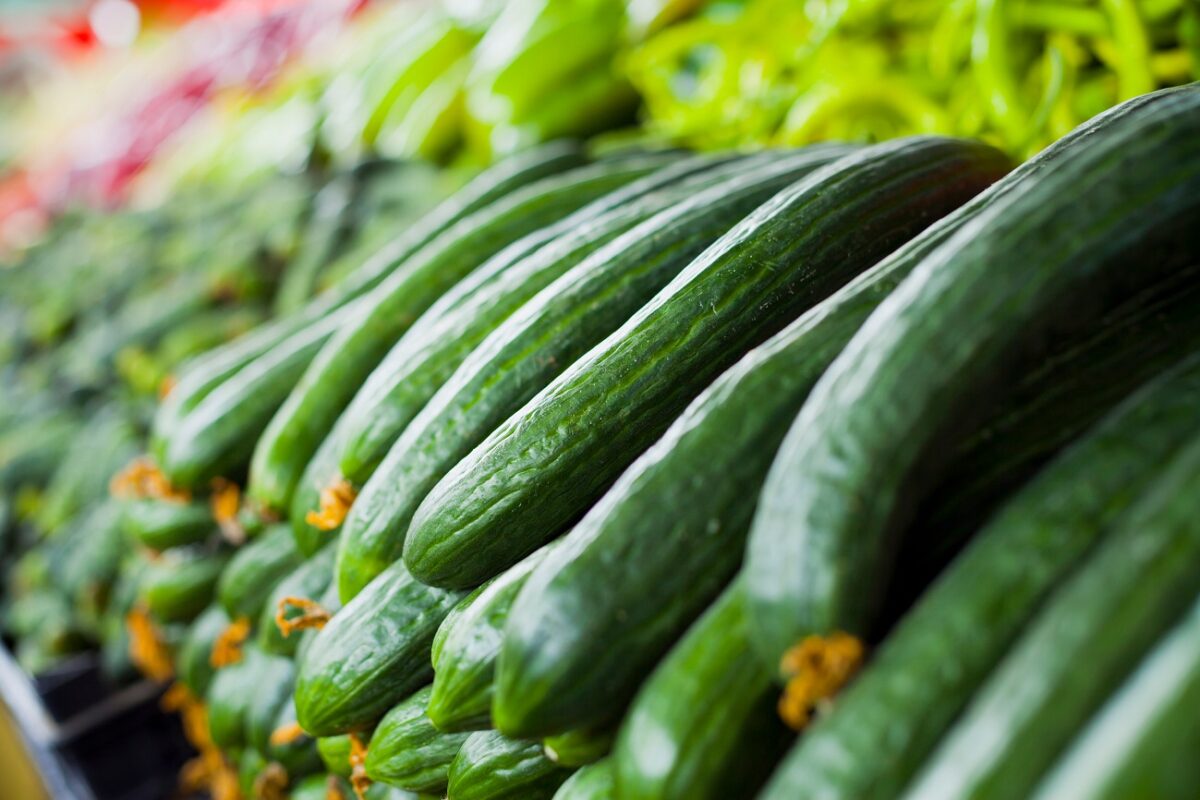 Kiderült, miért van jelenleg „aranyáron” az uborka Magyarországon