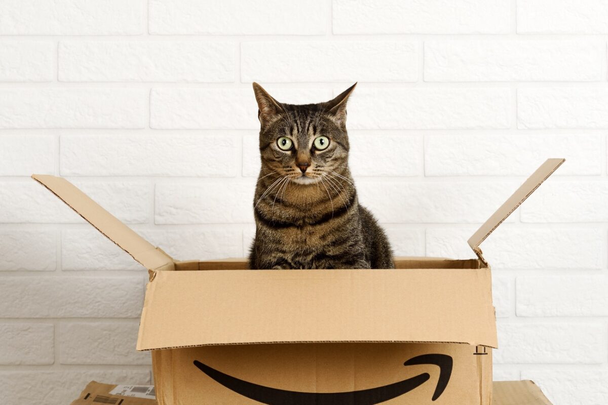 Bárcsak minden futár ilyen lenne, mint ő – megőrül érte az internet