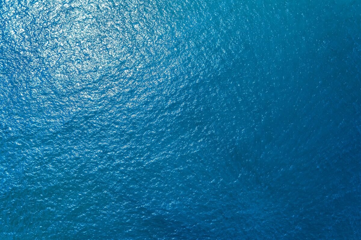 7 napig hánykolódott a tengeren két tinédzser, majd megjelentek a cápák