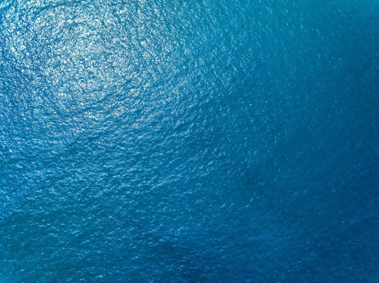 7 napig hánykolódott a tengeren két tinédzser, majd megjelentek a cápák