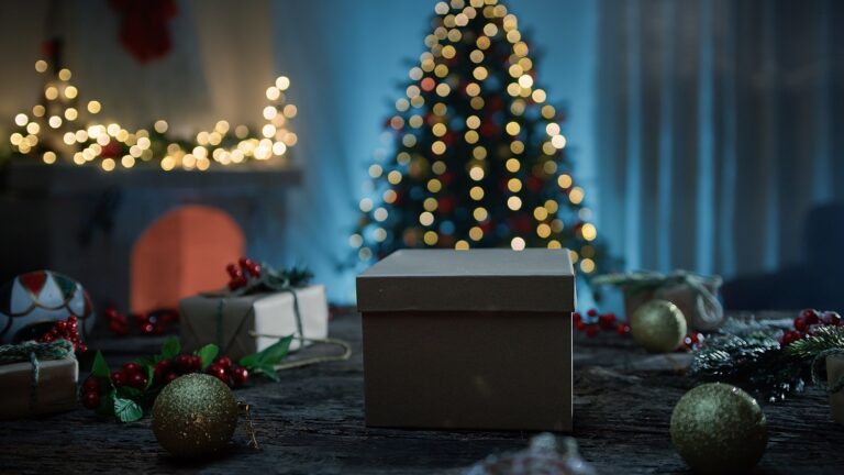 Egy 11 éves kislány 1,7 milliós karácsonyi listája, majd beindult a lavina