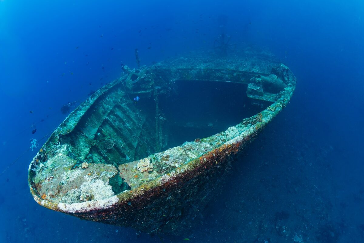 A karácsonyfa‑hajó tragédiája – soha nem értek oda