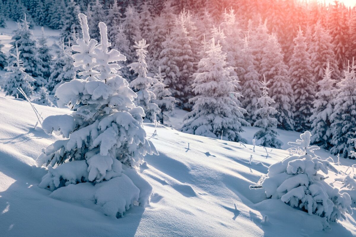 Négy holttestet találtak a hegyekben – karácsony napján tűntek el