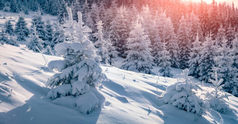 Négy holttestet találtak a hegyekben – karácsony napján tűntek el