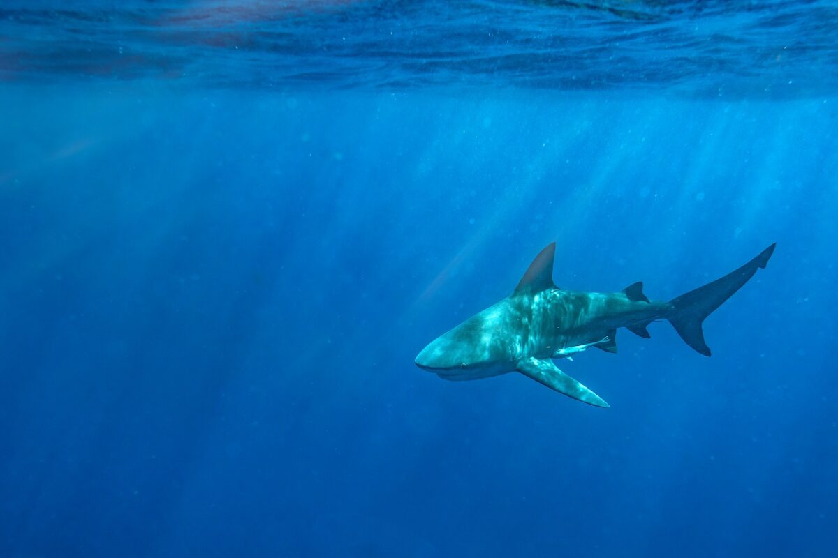 Még az orvosok sem hitték el, mit élt túl ez a 15 éves lány