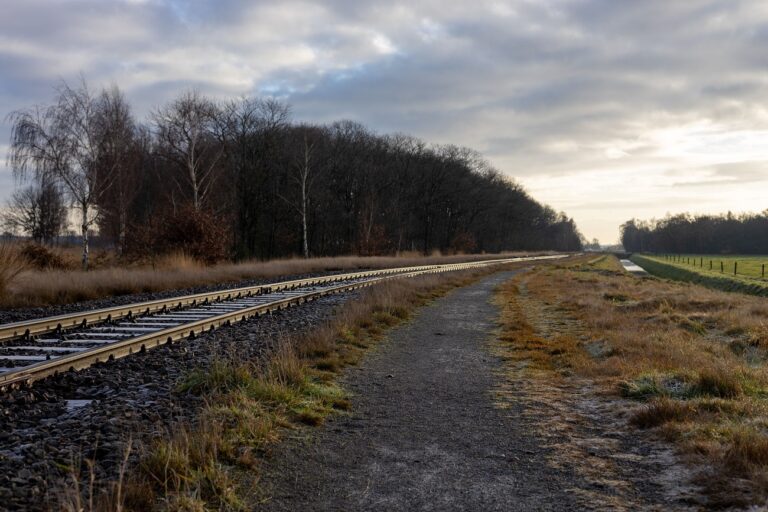 A MÁV péntek hajnali azonnali közleménye – gondok vannak az egyik vasútvonalon