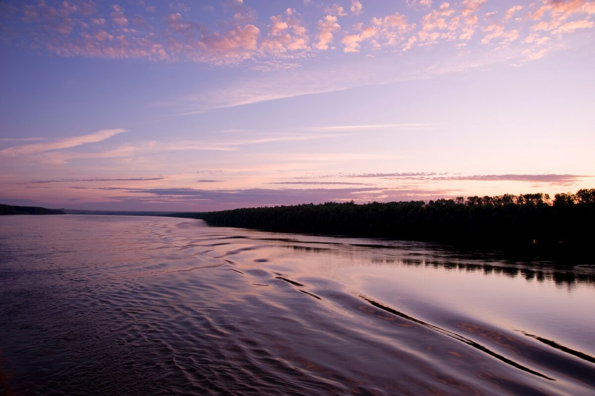 Leugrott a hídról és a Dunába vetette magát egy fiatal nő