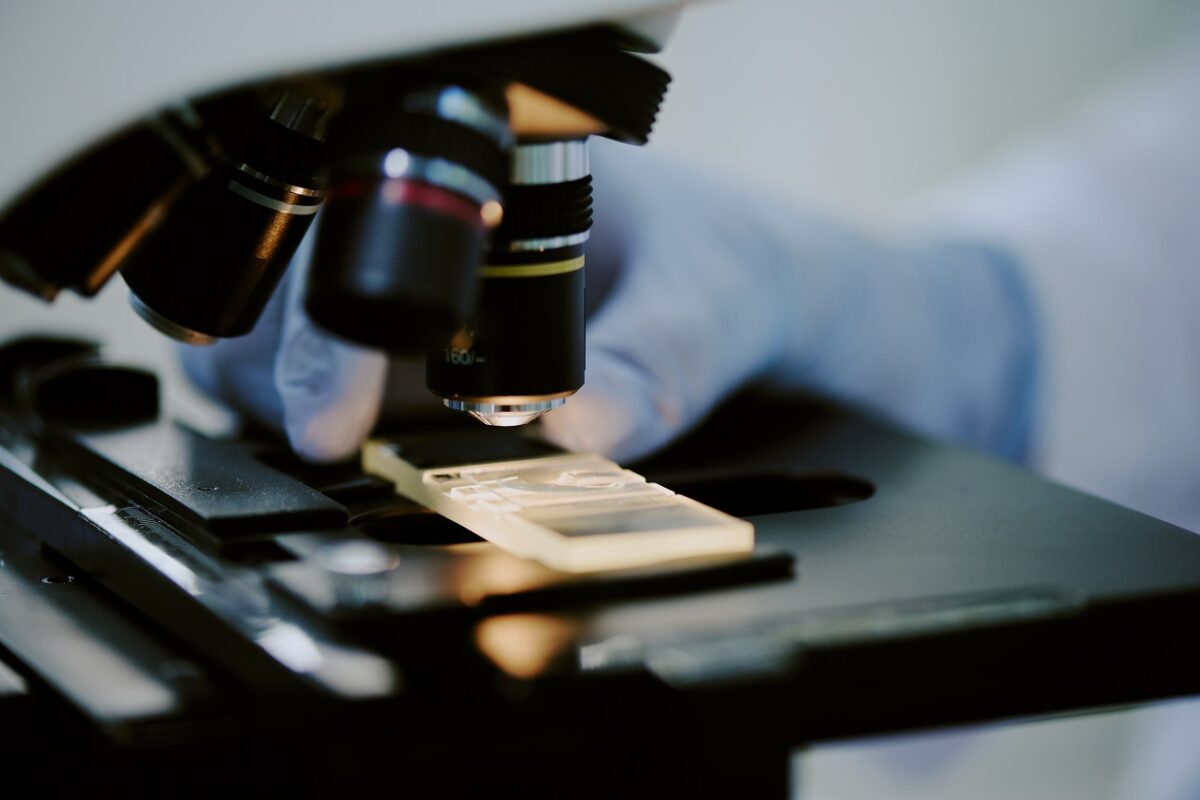 A láthatatlan mikrobák, amik csendben óvják az egészségünket