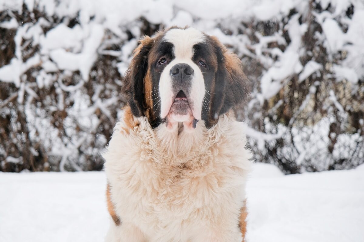 Már a magyarok egyik kedvenc helyénél is lezárásokra kell számítani a rendkívüli hidegben