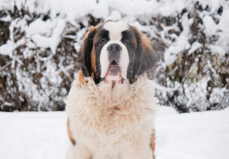 Már a magyarok egyik kedvenc helyénél is lezárásokra kell számítani a rendkívüli hidegben