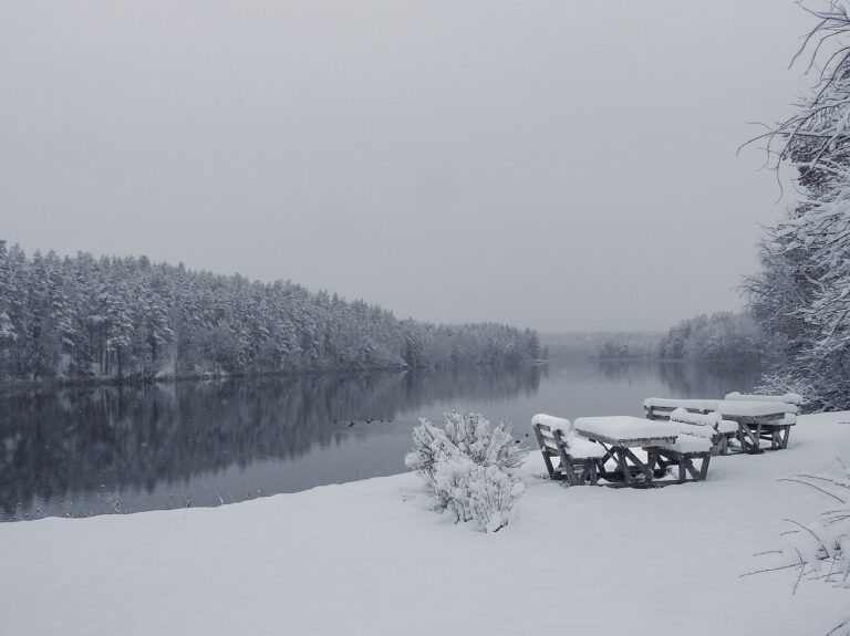 Meghalt egy 23 éves vadász, miközben megpróbálta kimenteni kutyáját a jeges tóból