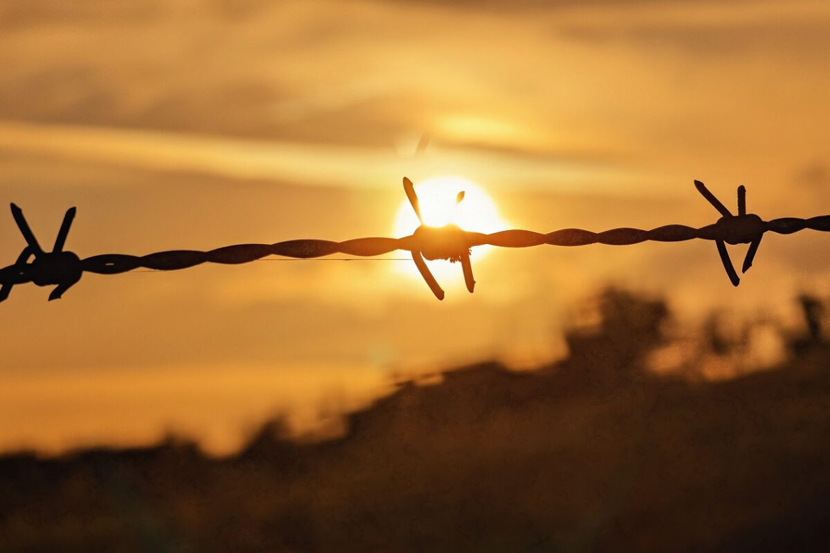 Egyszerre 11 maffiatagot végeztek ki