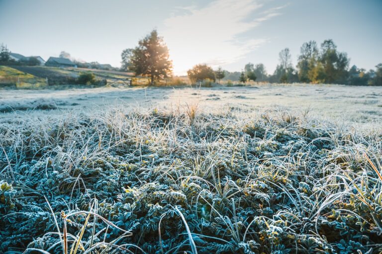 Elképesztő hideg jön a jövő héten