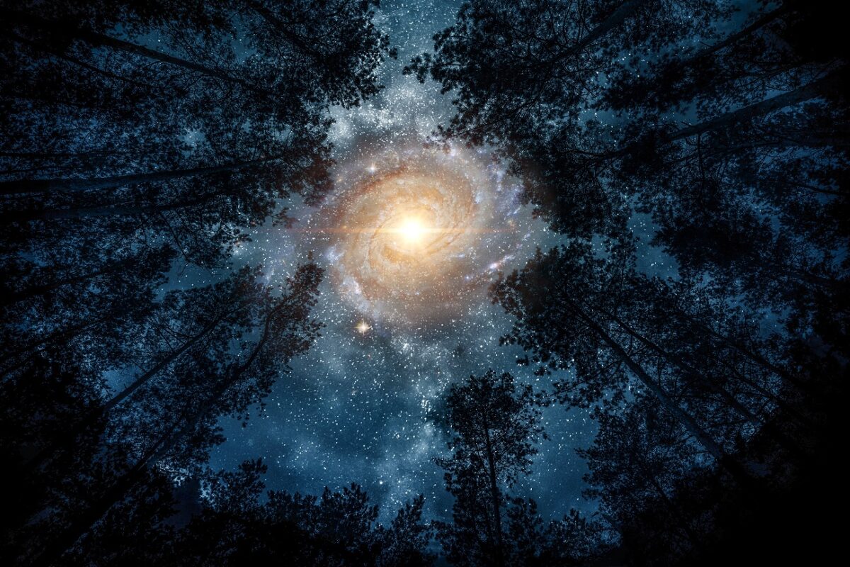 Egy páratlanul szokatlan sci-fi thriller, amiben egyetlen szó sem hangzik el