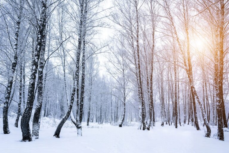 Két hete nyoma veszett egy férfinak és kutyájának – az autó már megvan