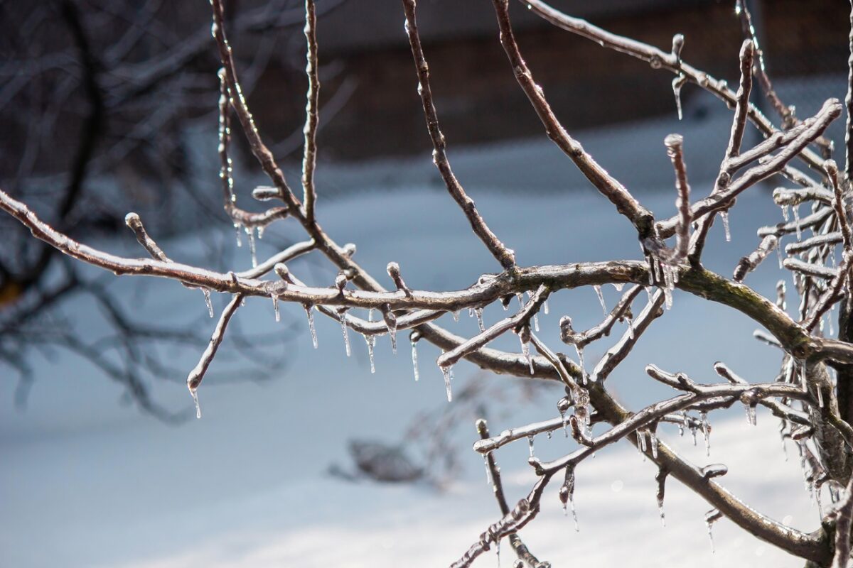 A nagy havazás helyett most valami egészen mást kapunk a nyakunkba